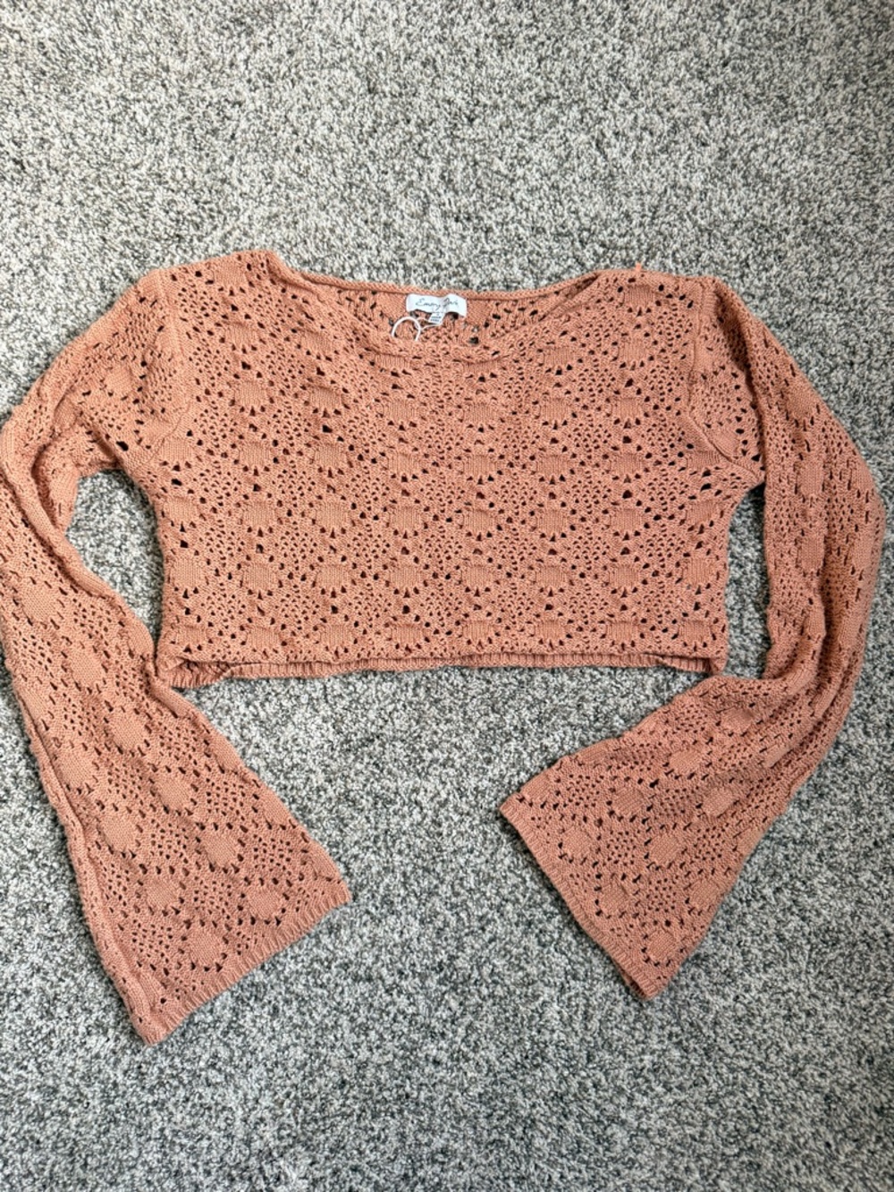 emory park Rust Crochet Knit Long-Sleeve Crop Top